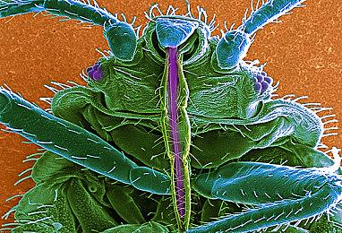 《便便不同》Steam页面上线 奇葩大便生产线监控